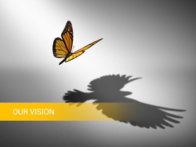 Our Vision-About Us