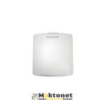 R750-Indoor Access Point